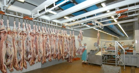 Дезинсекция на мясокомбинате в Серебряных Прудах, цены на услуги