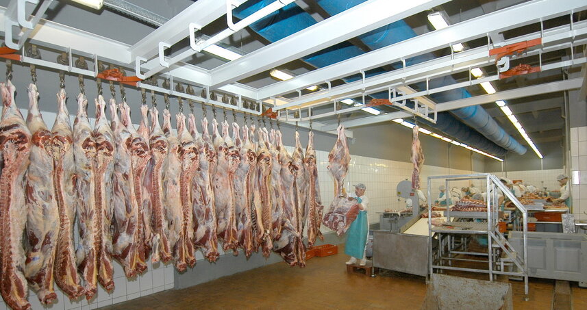 Дезинсекция на мясокомбинате в Серебряных Прудах, цены на услуги